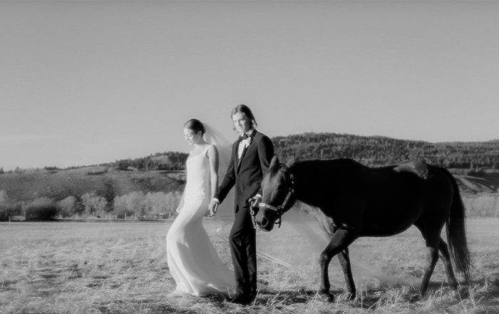 Hochzeit mit Pferd